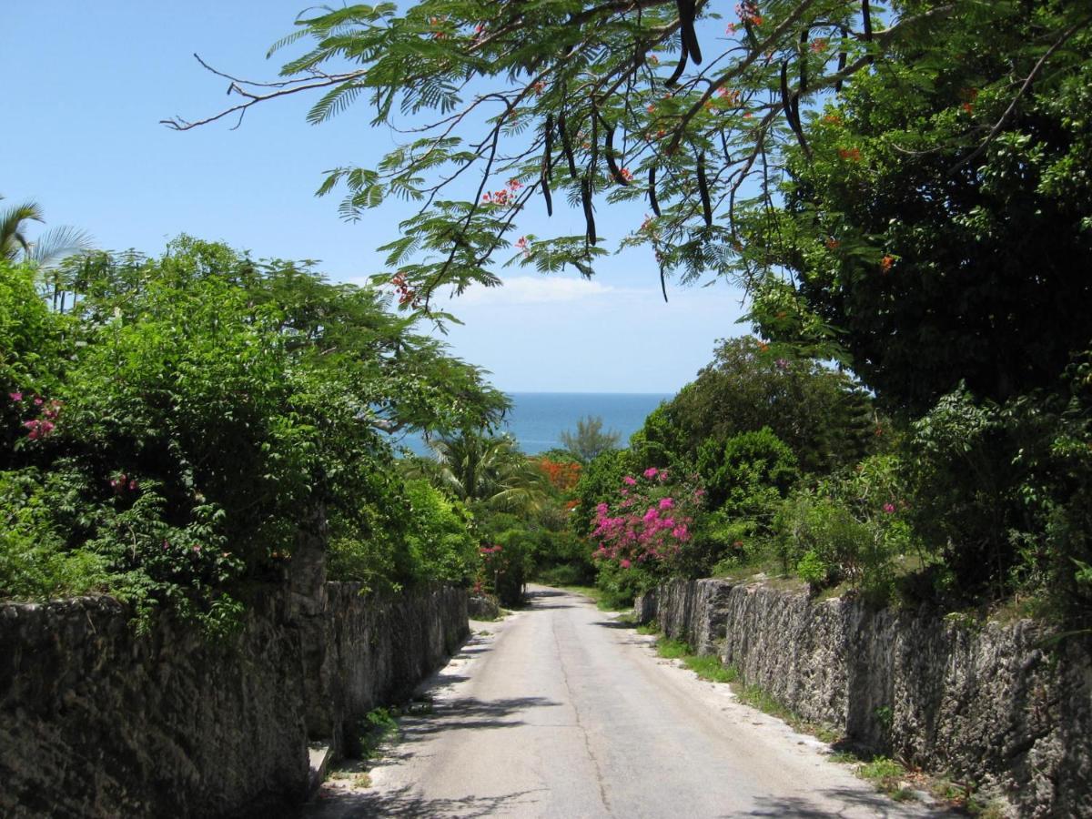 Beside The Pointe Cottage Savannah Sound Εξωτερικό φωτογραφία